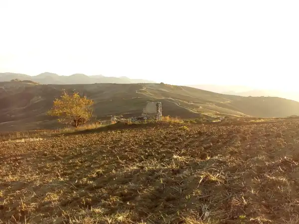 Campi Grano